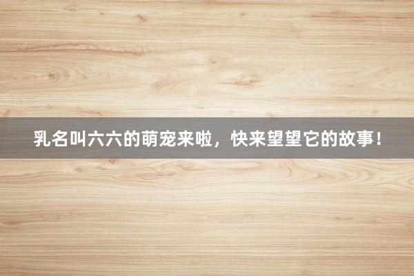 乳名叫六六的萌宠来啦，快来望望它的故事！